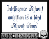 {RN} Intelligence Quote 