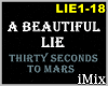 A Beautiful Lie