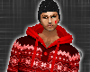 *Red Snow Sweater