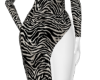 Sexy Zebra Dress