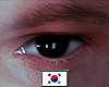 Realistic Korean Eyes