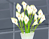 Vase/Flowers