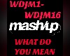 Mashup What do you mean
