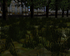 JL N. Cloister Grass