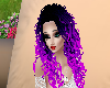 purple curl