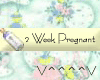 2 Weeks Pregnant (Y)