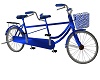 Blue Bicycle Ride For 2
