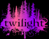 Renesmees Twilight Paci.