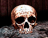 Skull V.2.