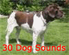 The Best Dog Sounds VB