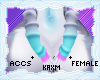 ꨄStacy Warmersꨄ