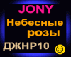 JONY_Nebesnye rozy