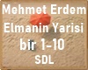 Mehmet  Elmanin Yarisi