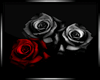 dark roses