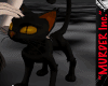 M]Spooky Kitty :o