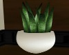 (TRL) Plant Suite