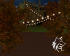 Cowntry Light