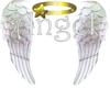 Angel Wings/halo