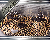 A◘ Cheetah Purse