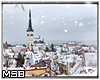 Snow City View Window
