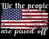 We the People Pic