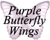 Light Purple Wings