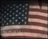[S]American Flag