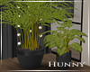 H. Plants