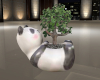 (S)Panda bonsai