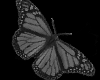 Butterfly V1