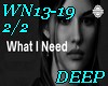 WN13-19-What i need-2/2