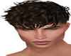 Req Rusty Hair