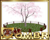 QMBR Tree Cherry Ani 8Pz