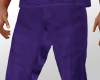 Scrubs Pants Purple