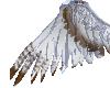 [AA] angel wings