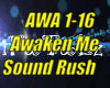 *(AWA) Awaken Me*