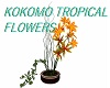 KOKOMO TROPICAL FLOWERS