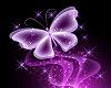 Purple Butterfly