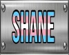 Shane's Pride Collar