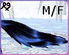 Black Blue Wolf Tail M/F