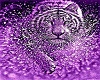 purple tiger bar