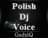 Polish Dj Voice VB Vixa