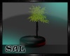 SAL~ [D/N-A] Plant V1
