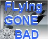 AO~Flying Gone Bad lol