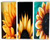 3 Canvas Sunflower