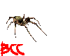[BCC]Spider Attack
