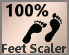 Feet Scaler 100% F