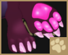 ~AM~ Epshi Paw Feet F