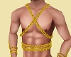 Gold Chest Chains