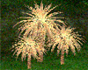 [MA] 3 palm trees Gold